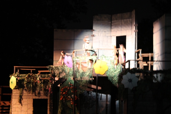 A picture from last year's performance of A Midsummer Night's Dream in Delaware Park.